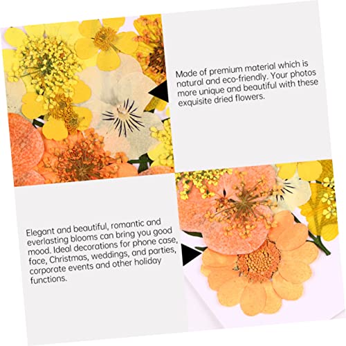 40 piezas de flores secas prensadas para manualidades miniatura 6