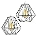 Produktbild 2x Vintage Käfig Draht Lampenschirm Pendelleuchte - YIKEGE Retro Industrielle Metall DIY Stehlampe 7,87" Breite Halter Zubehör für Küchen Loft Flur Schlafzimmer Bar Café Laden Salon Restaurant