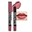 evpct 1Pcs Chestnut Matte Lipstick and Lip Crayon Liner Pencil Pen Set for Women Lip Stain Long Lasting Waterproof labiales mate magicos 24 horas originales pintalabios permanente 24 horas 09