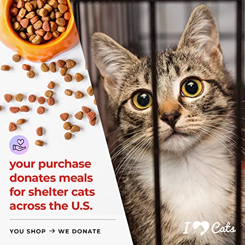 iHeartCats Árvore de gato de resina de Natal - My Christmas Wish