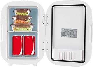Mini Réfrigérateur 6 L, Mini Frigo De Chambre,portable Voiture Réfrigérateur,12v Pour La Voiture, 220v/110v Pour La Maison
