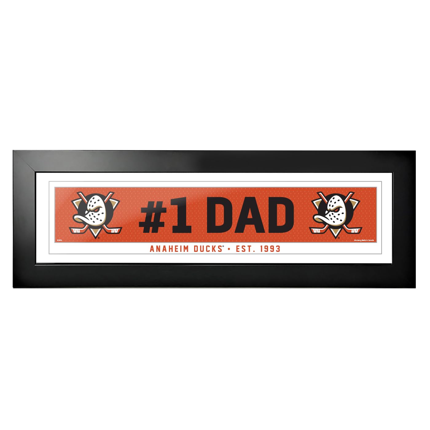Anaheim Ducks Frame - 6