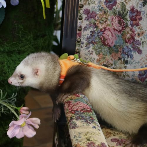 Image of Bearded Dragon Harness and Leash Set - Soft Fleece Dinosaur Vest with Safe Bell Adjustable Lizard Traction Rope Escape Proof Outdoor Walking Training Leash for Ferret Rat Kitten Puppy (Orange)