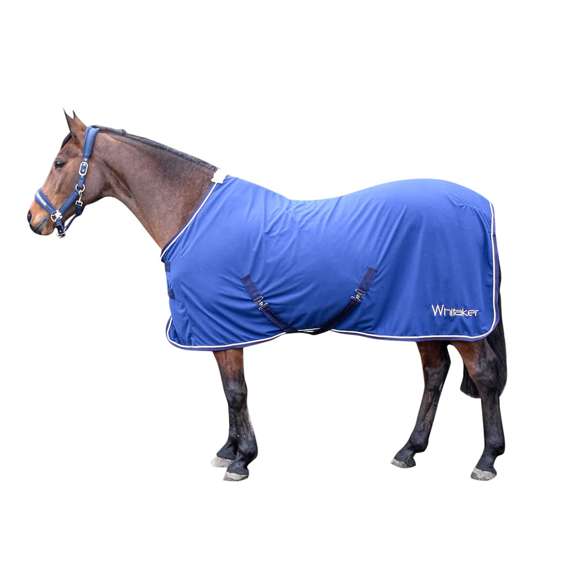 Whitaker Rydal Standard-Neck Microsuede Horse Blanket (5´ 3) (Blue)