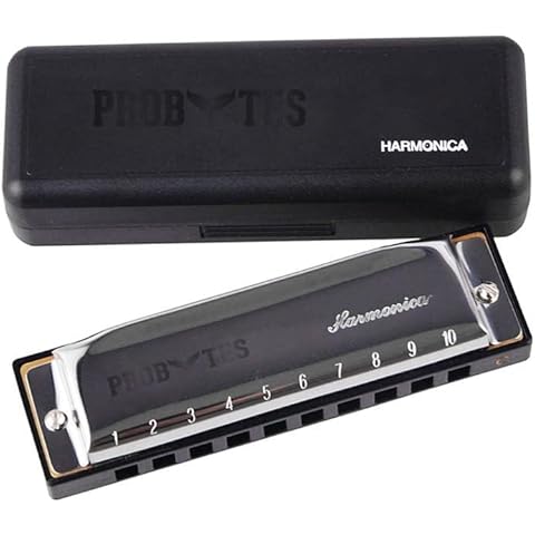 Harmonica Key of C 10 Hole Diatonic Harmonica C - Mouth Organ Key of C Stainless Steel with Case for Beginners, Professionals, Students, Performers, and Kids Gifts Cover