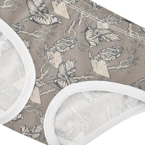 Girls' Underwear Vintage Birds Cotton Stretch Comfort Toddler Panties4