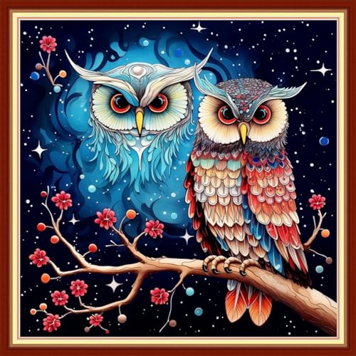 Image of Foxdiviy Stamped Cross Stitch Kits Full Range of Embroidery Needlework Starter Kits for Beginners Adults 11CT Embroidery Patterns Art Crafts DIY Needlepoint Kits-Colorful Owl 18x18 inch