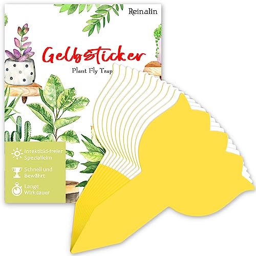 Reinalin Trauermücken Bekämpfen Gelbsticker 12 Stück - Gelbtafeln...