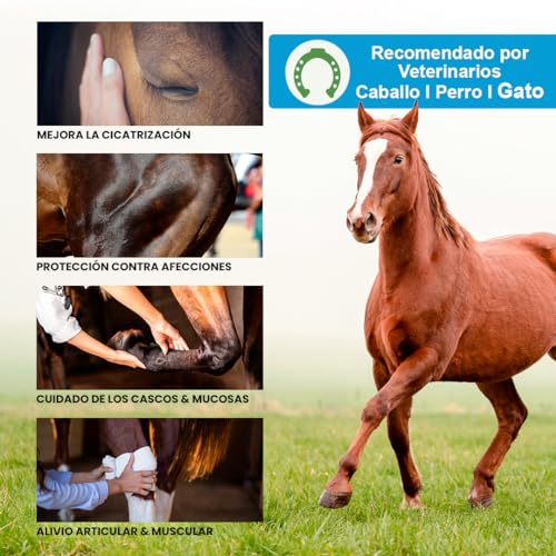 bleu & marine Bretania Gel Cicatrisant Aloe Vera pour Cheval & Chien | Hydratant | Régénère l’Épiderme | Anti-Hématomes 1000 ML – vue 3