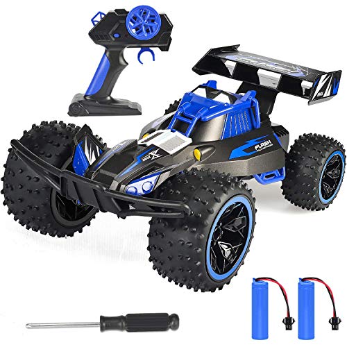 NQD Remote Control Car 2020 Updated 1:16 Scale High Speed 2.4Ghz Radio Remote All Terrain RC Car with Two Rechargeable Batteries Electric Toy Car for All Adults & Kids