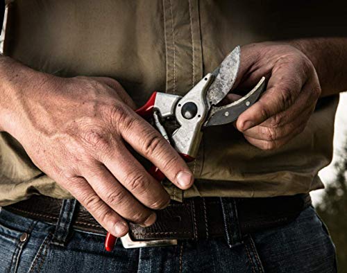 Felco 2 Bypass Pruner And Leather Holster (Bundle, 2 Items) #TOP3