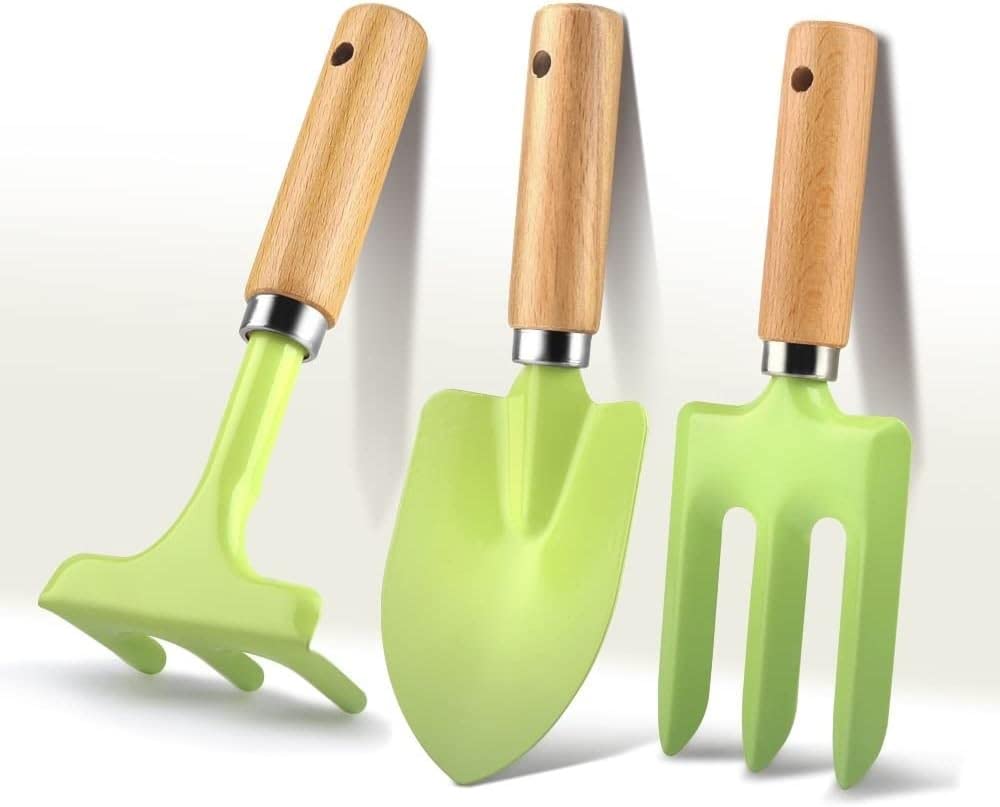 3 Pezzi Set di Attrezzi da Giardino, Kit di Piante Grasse per la Cura delle Piante, Kit di Alberi Bonsai Accessori per Piante Attrezzi Manuali per Giardinaggio Interno, per Fiori da Giardinaggio Domes