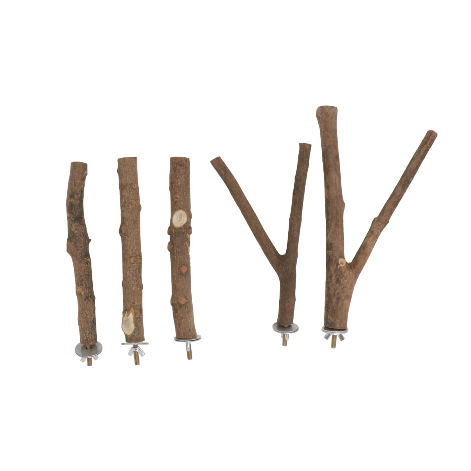 DOITOOL 5ensembles Perchoir à Oiseaux De Sèchage Naturel De Barres De Jeu pour Oiseaux avec Support Accessoires De Cage pour Perruches Et Perroquets Couleurs Aléatoires