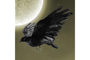 IMOSA Realistic Flying Crow Decoration