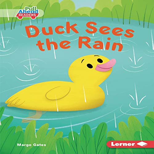 Duck Sees the Rain by Margo Gates episode artwork