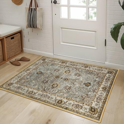 Front Door mat, 2x3 Ft Washable Area Rug Small Entryway Rug Indoor Non-Slip Throw Rugs, Ultra-Thin Accent Carpet for Kitchen Bathroom Entrance Home Decor (Brown)