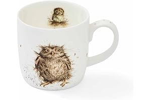 Royal Worcester Wrendale What A Hoot Mug