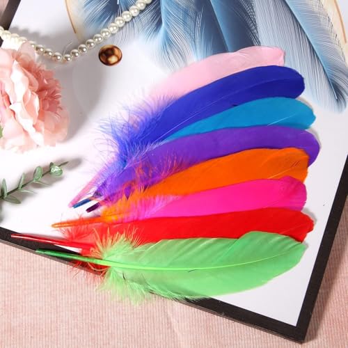 Image of Tdas 50+ Pcs Natural Dyed Goose Feathers for Craft 6-8 inches Arts Fluffy Dream Catcher Making kit for Decoration Projects Earrings Colourful for Kids Handmade Wedding Home (Multicolor)