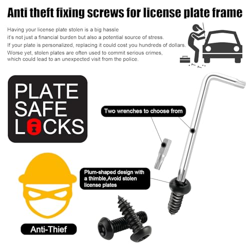 LivTee Anti Theft License Plate Screws Kits for Securing Frames and Covers, M6 (1/4