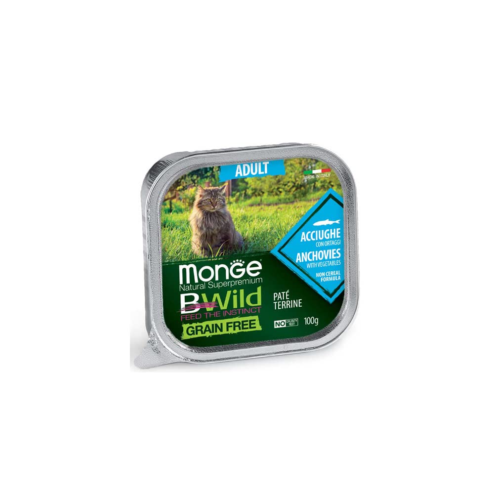 B-Wild Grain Free Pate Adult Anchovies with Vegetables for Cats-100gm(Pack of 5) (B09QYX7C64) Amazon Price History, Amazon Price Tracker