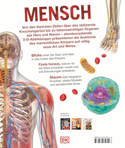 DK Wissen. Mensch: Der Körper in spektakulären Bildern. Für Kinder ab 8 Jahren