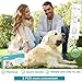 Dog Pregnancy Test kit at Home,Urine Test for Dog,Dog&Cat Pregnancy Test,Pregnancy Test for Dogs at Home, Accurate and Rapid,Dog & Cat Early Detection Pregnancy Test(2 PCS)