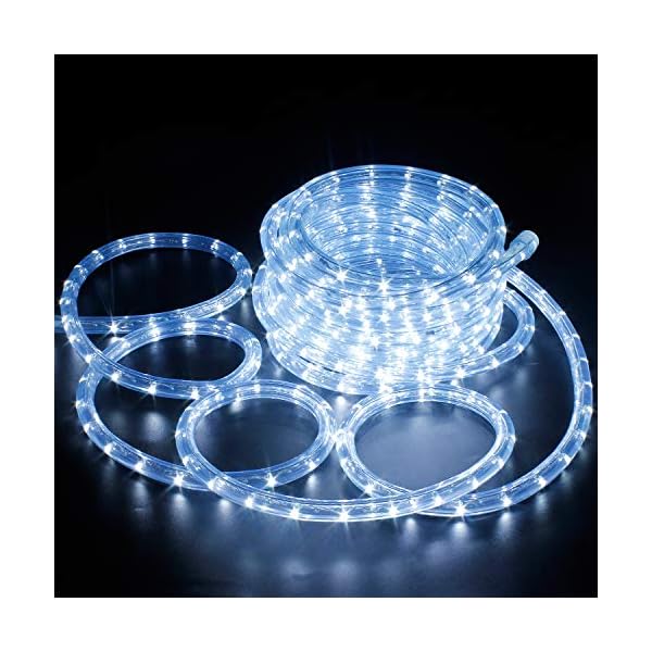 Forever Speed LED Lichterschlauch Außen,Wasserfest LED Lichtschlauch Schlauch Außen Innen für Weihnachten,Hochzeit,Dach,Zaun Dekoration Beleuchtung Lichtschläuche Kaltweiß IP65