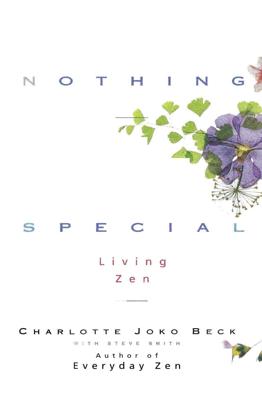Nothing Special: A Zen Buddhist Guide to Awakening Through Daily Life's Feelings, Relationships, and Work