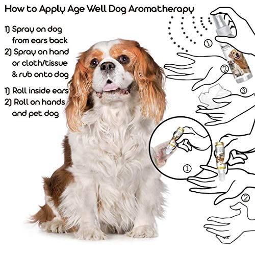 Image of The Blissful Dog Cavalier King Charles Spaniel Age Well Dog Aromatherapy Roll-On Bottle for Your Dog's Peaceful Ageing