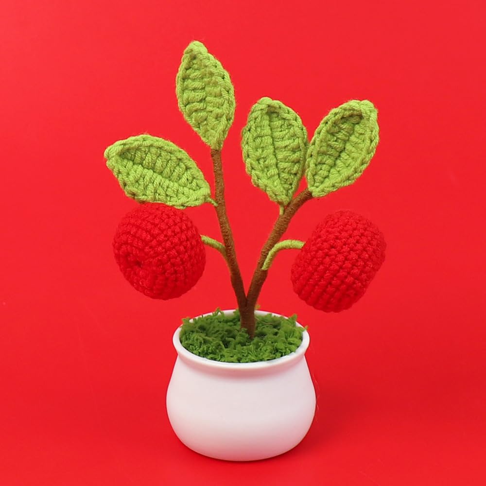 Knitted Handmade Crochet Plant- Apples Flowers Pot, Knitted Artificial Forever Flowers with Exquisite Pot, Gift to Friends Mother Kids, Home Office Desk Cafe Decoration, LM-01