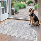 Washable Area Rugs 2x3 Entryway: Soft Ultra Thin Low Pile Mat Machine Washable Indoor Doormat Lightweight Entry Rug Anti Slip Backing Rugs for Living Room Bedroom Kitchen 2'x3' Grey