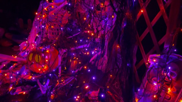 Toodour Halloween Orange & Purple Lights, 131ft 350 LED Plug