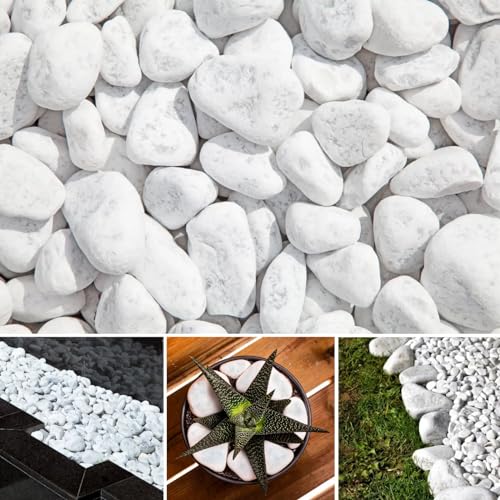 Carrara Decorative Natural Marble SNOW WHITE 20-40mm 20 kg Pure White Pebbles Stones Gravel...