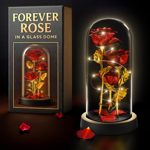 KETAR Rose in Glass Dome – LED Glass Rose Flower Lights, Romantic Flowers Roses for Home Decor, Beautiful Birthday Gifts for Women | Gifts for Mom, Grandma, & Girlfriend – Elegant Lighting Solution