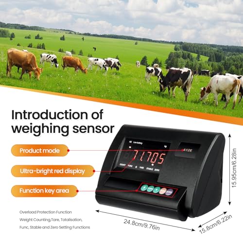 Kit de pesaje de animales de servicio pesado 5000kg.Plataforma de la célula de carga del acero inoxidable con indicador de precisión.Escala precisa para cerdos de cabra de oveja de ganado.Sistema de e