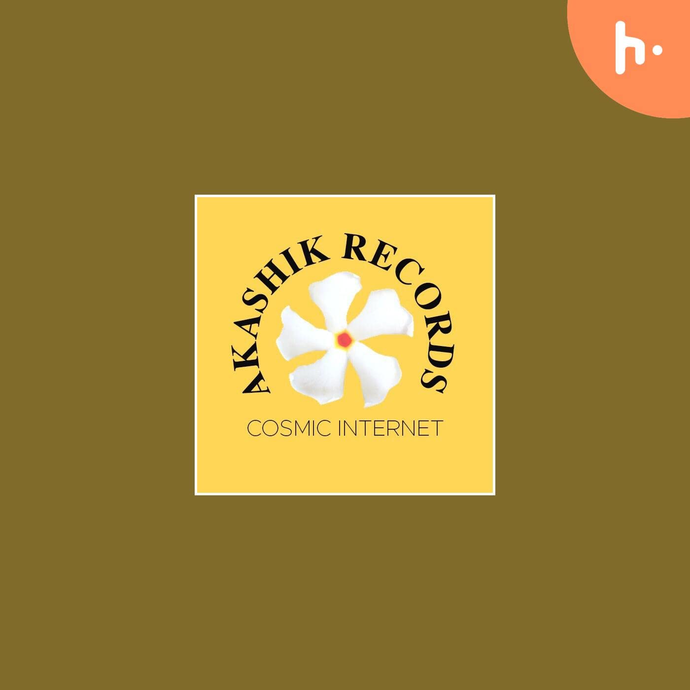COSMIC INTERNET : AKASHIK RECORDS