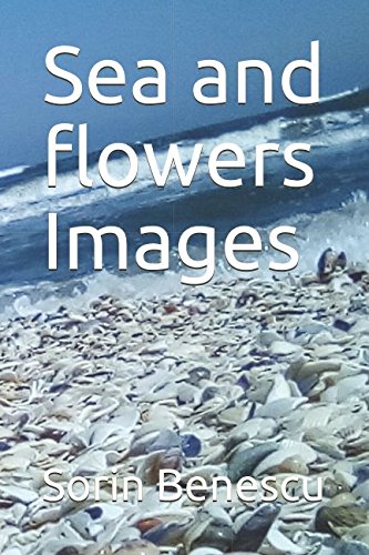 Sea and flowers Images (1)