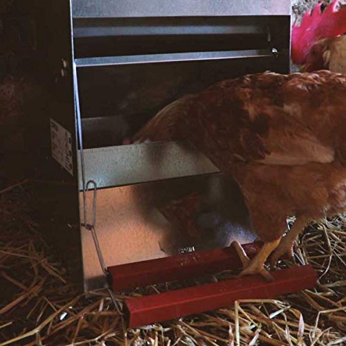 Suinga PRANZO AUTOMATICO 20 Kg per GALLINAS, zincato a pedale, grigio