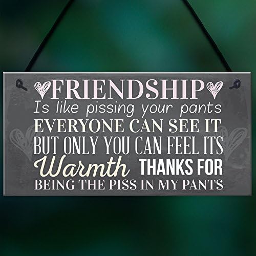 RED OCEAN Best Friend Sign Friendship Gift Funny Thank You Novelty Birthday Shabby Chic Hanging Plaque
