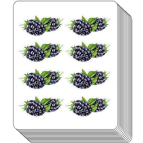 BlackBerry Berry Planner Stickers-Versatile Calendars Crafting Stickers for Scrapbook Stickers,Craft Stickers,Calendar Magazine Stickers,Ledger Stickers and DIY Stickers for Kids(1