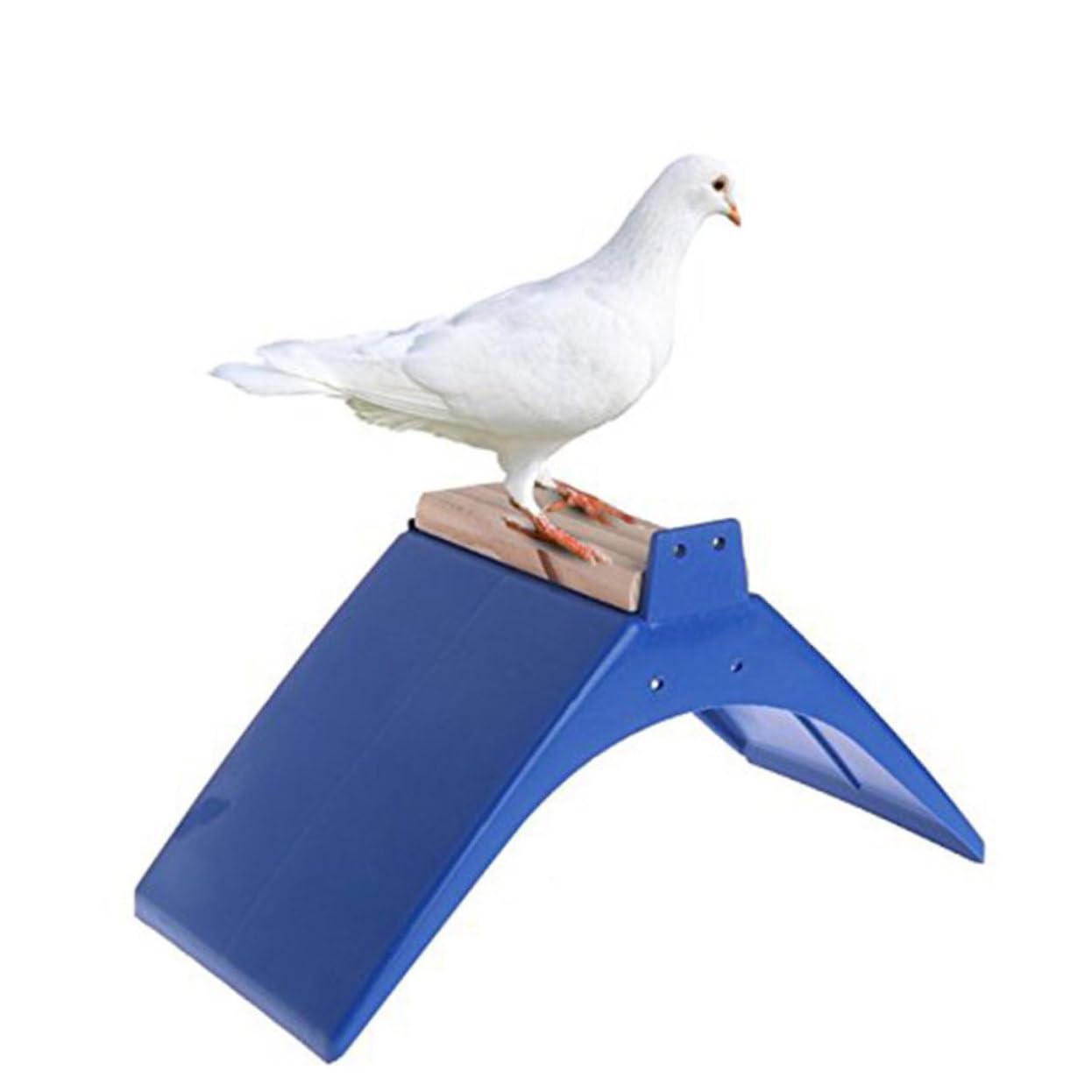 Happyyami 5 Stück Taubenstangen Aus Kunststoff Mit Massivholz Großer Tauben Ruheständer Mit Abgerundetem Boden Spielplatz Für Tauben Und Taubenzubehör Blau Größe l Vogelbedarf