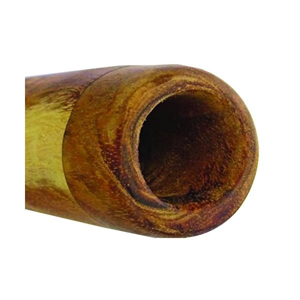 Handmade Didgeridoo Eucalyptus (Root) Ethnica Instruments