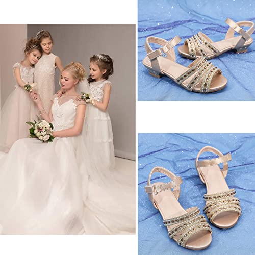 Dadawen Girls Low Heels Dress Open Toe Strappy Glitter Rhinestone Sandals For Girls (Toddler/Little Kid/Big Kid) Gold Us Size 2 M Little Kid #TOP5