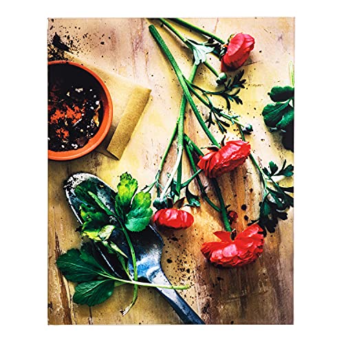 Yosemite Home Decor Earthy Charm I' - Photo by Veronica Olson, Printed on Tempered Glass, Multi-Color