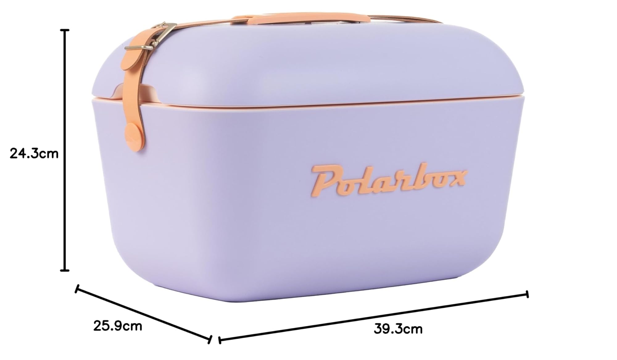 Polarbox Tragbare Kühlbox – Mini-Kühlbox 20 l, Strandkühlbox, kleine tragbare Kühlbox, Vintage, Verstellbarer Griff, Kühlbox Polarbox, tragbare Mini-Kühlbox