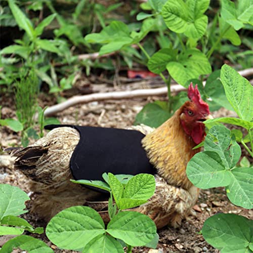 Huhn Weste,WideSmart Hühnersattel Hühner Warnweste Huhn Kleidung Geflügel Henne Sattel Henne Sattel Schürze Federschutzhalter Chicken Duck Wing Rückenprotektor Schürze für Huhn Ente Rückenschutz Jack