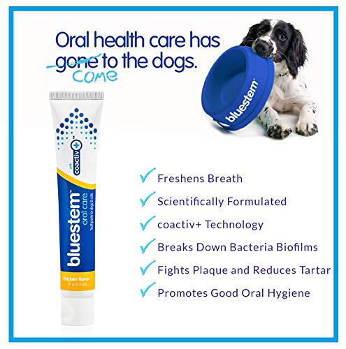 Dog Toothpaste : Chicken Flavor Tooth Paste for Dogs & Cats. Teeth Brushing Cleaner Pet Breath Freshener Oral Care Dental Cleaning Kit. Tartar & Plaque Remover Brushes - Thumbnail 4