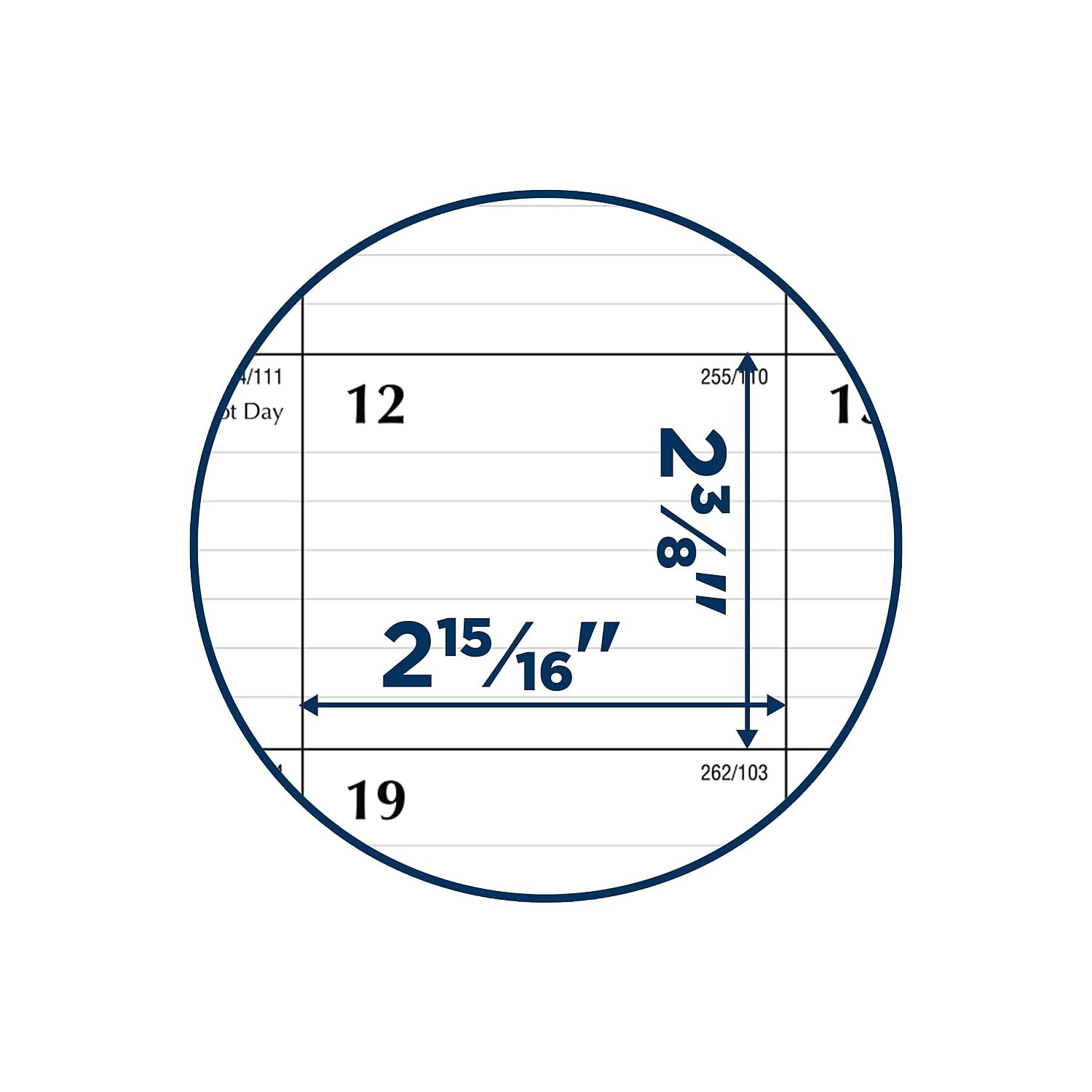 AT-A-GLANCE Akademischer Schreibtischkalender 2023-2024, monatliche Schreibtischunterlage, 53,5 x 43,2 cm, linierte Tagesblöcke, Standard (SK241600)