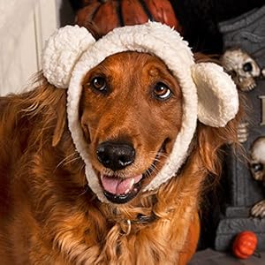 Furhaven Large to XL Dog Hat, Washable & Cozy – Sherpa Flex-Fit Polar Bear Dog Hat Costume – Cream, Large to Extra Large
