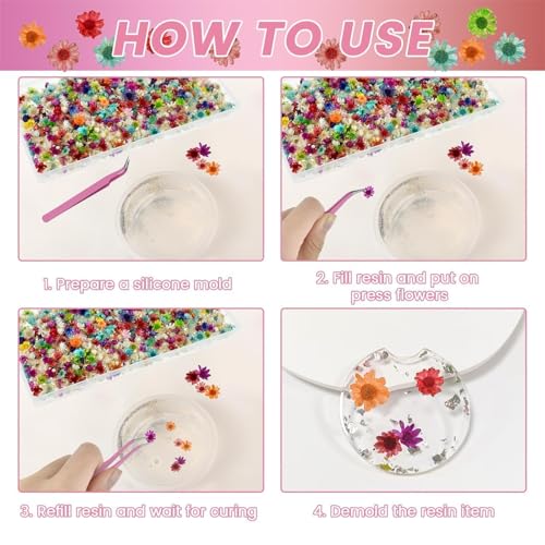 800 PCS Mini Flores Secas para Resina para Manualidades miniatura 5